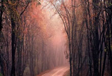 巴黎豪取胜利，晋级决赛再创辉煌