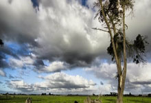 江西梦想队球员表现出色，备战状态火爆