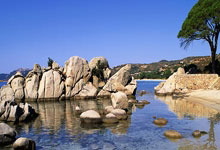 巴西国脚获胜，锁定残奥会资格