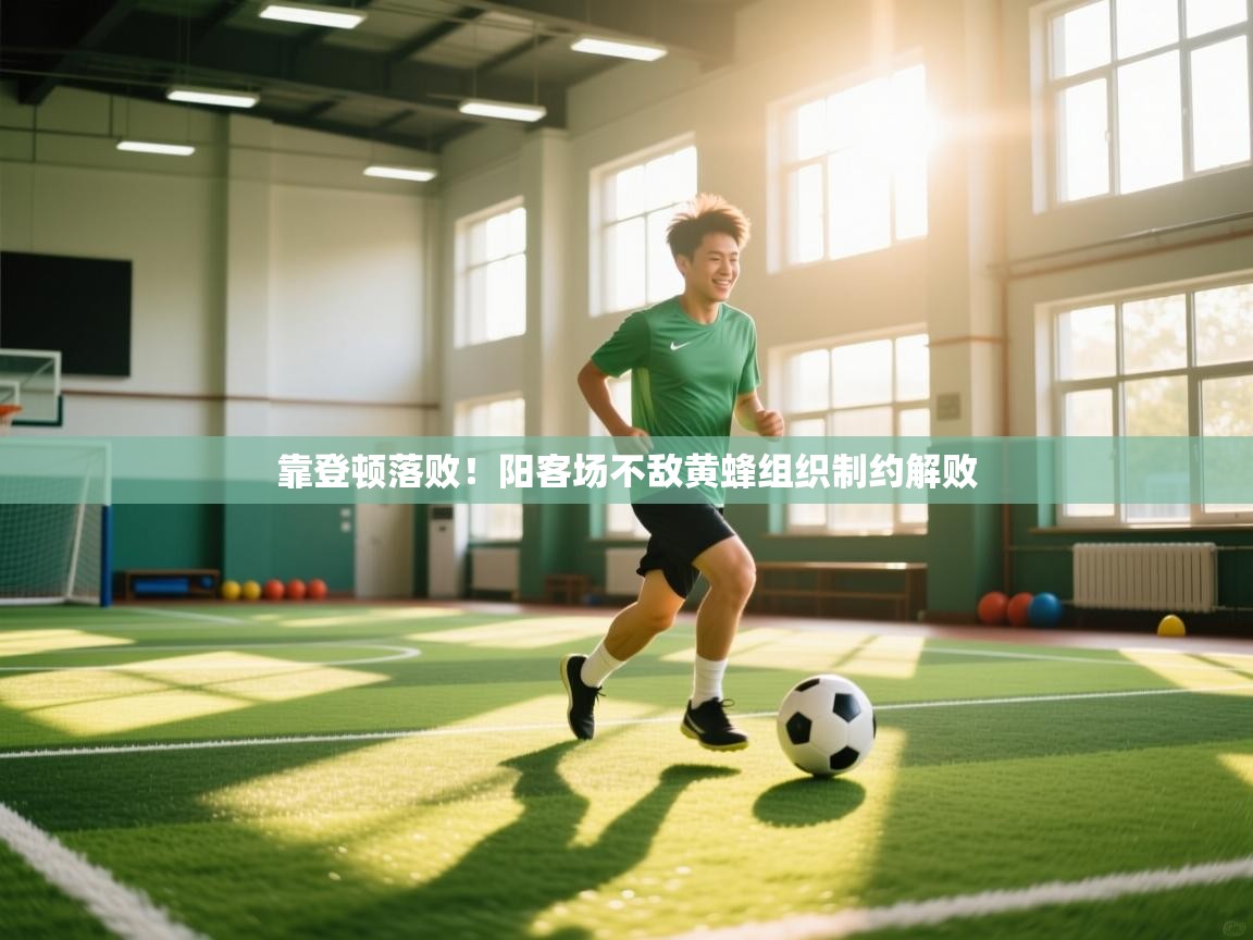 靠登顿落败！阳客场不敌黄蜂组织制约解败